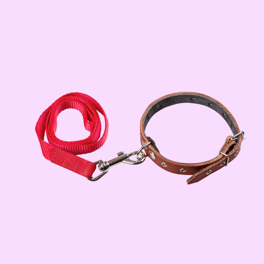 Dog Toys