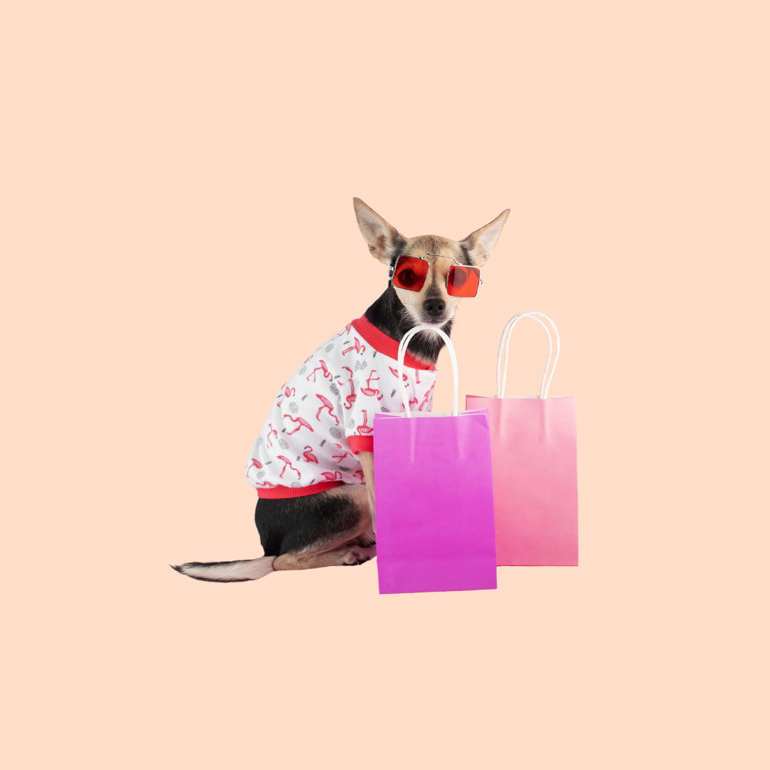 Dog Sumpplements