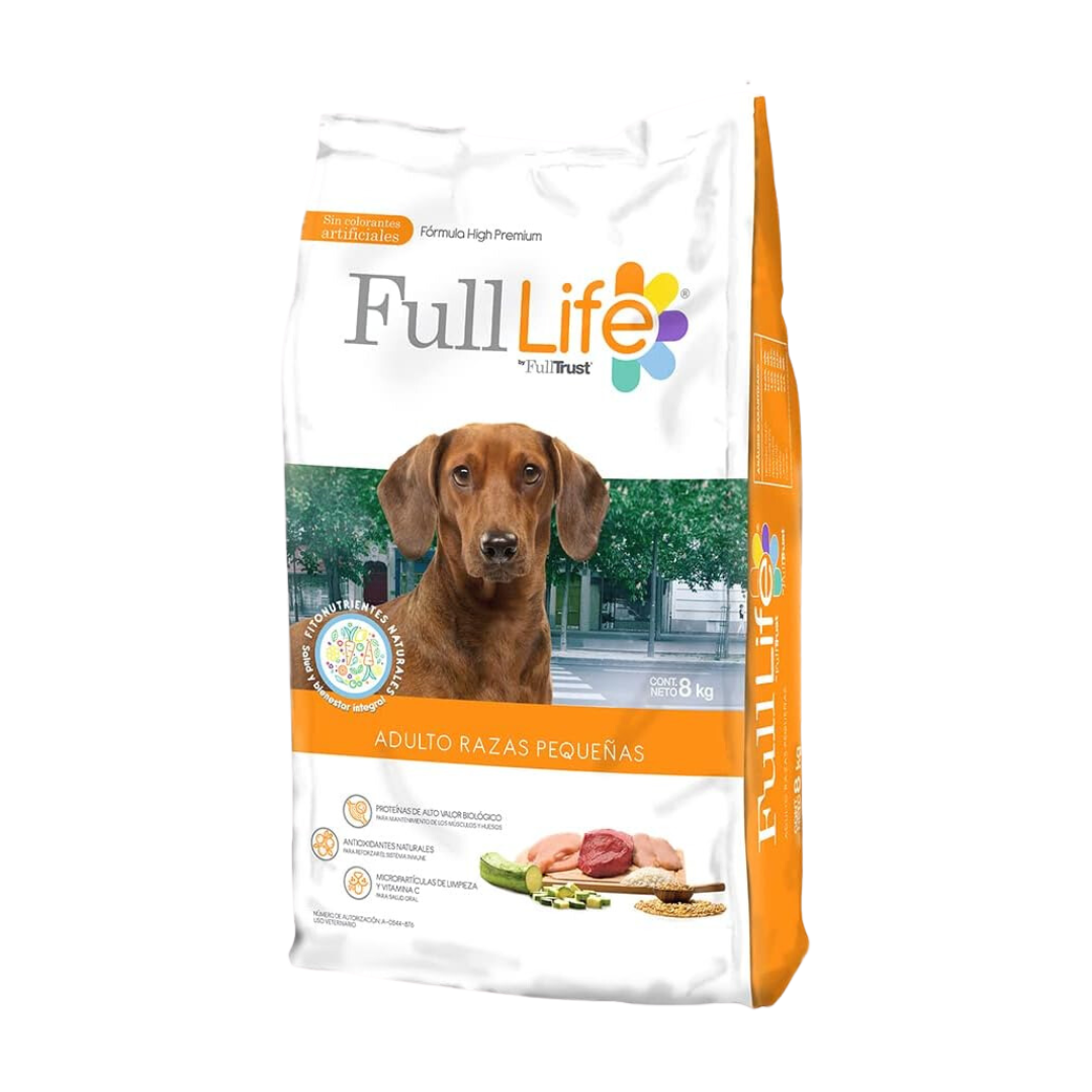 Morbi vel arcu scelerisque