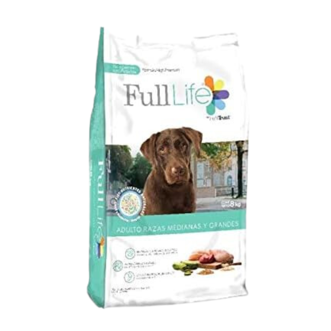 Morbi vel arcu scelerisque