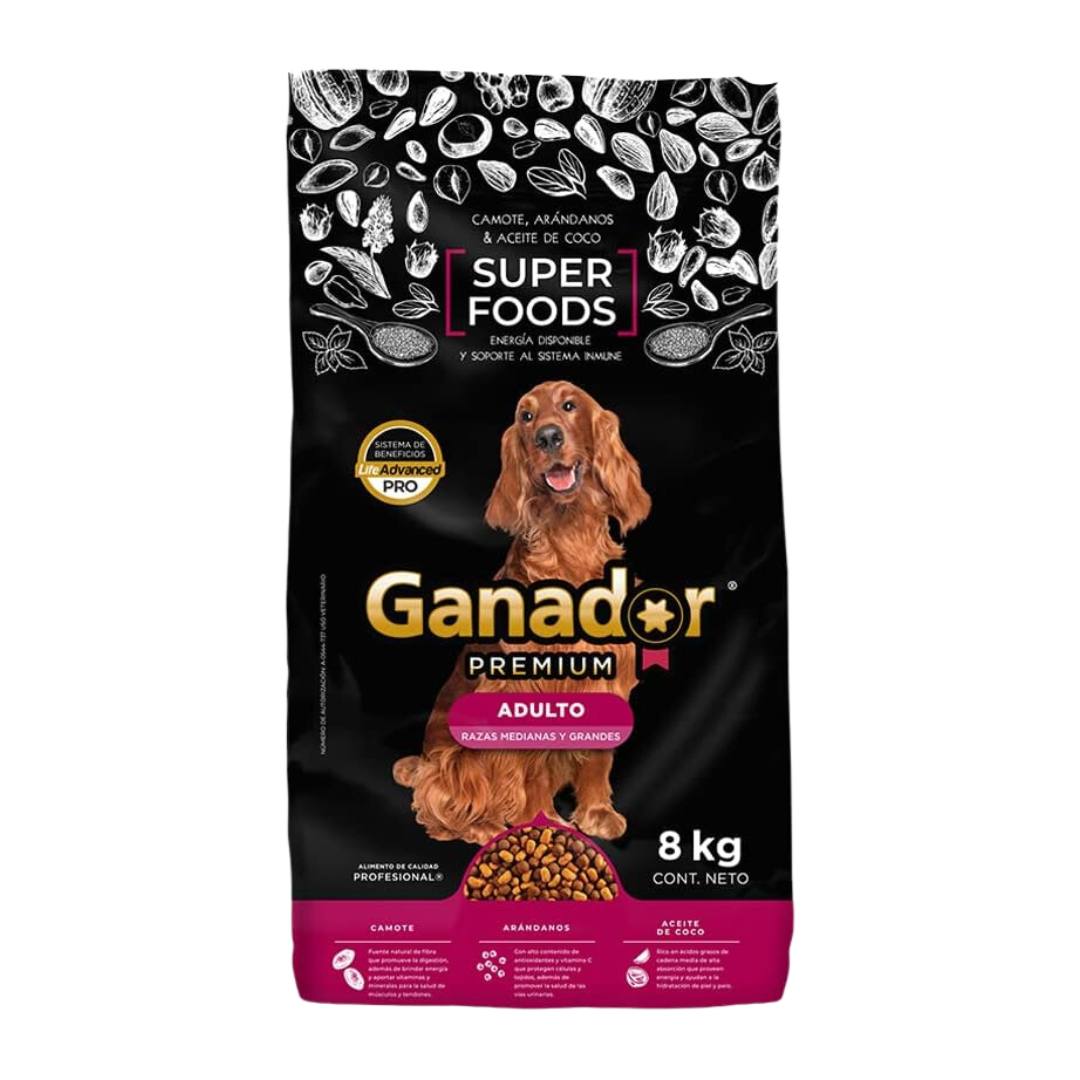 Morbi vel arcu scelerisque