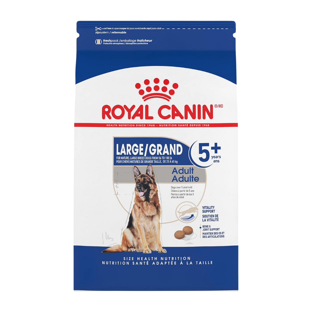 Nam justo libero porta ege