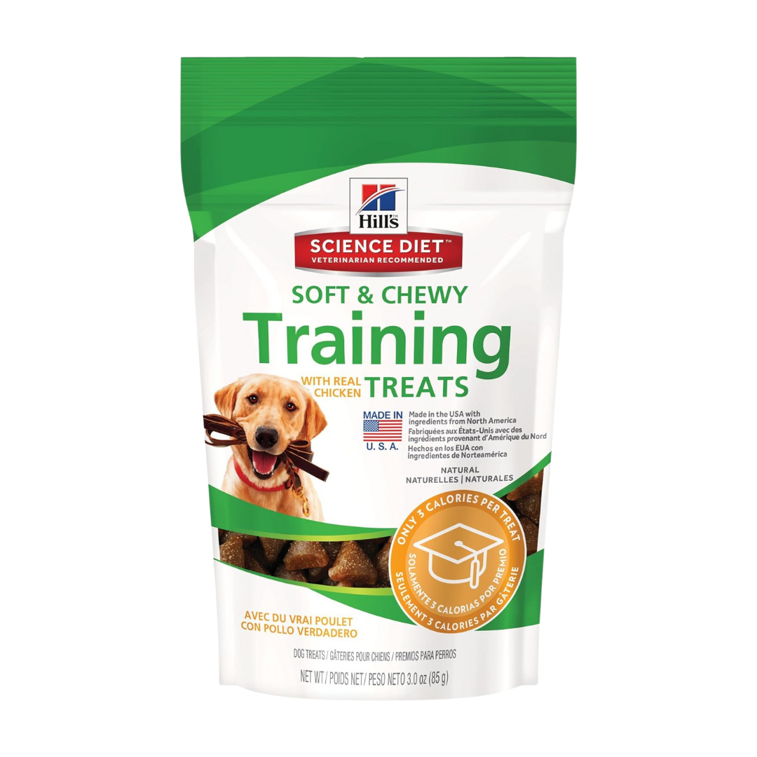 Nam justo libero porta ege