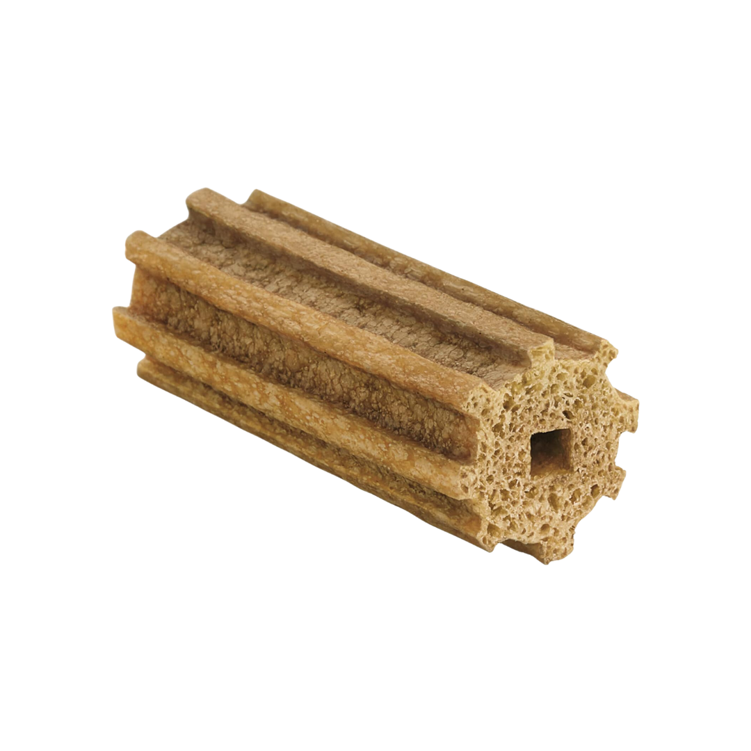 Etiam commodo leo sed