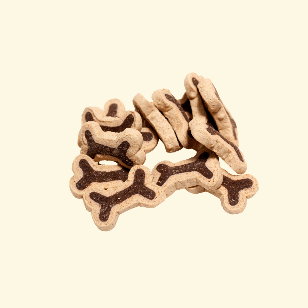 Cat Toys